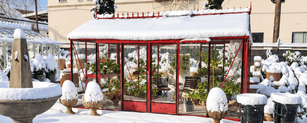 Serre de jardin sous la neige pendant l’hiver